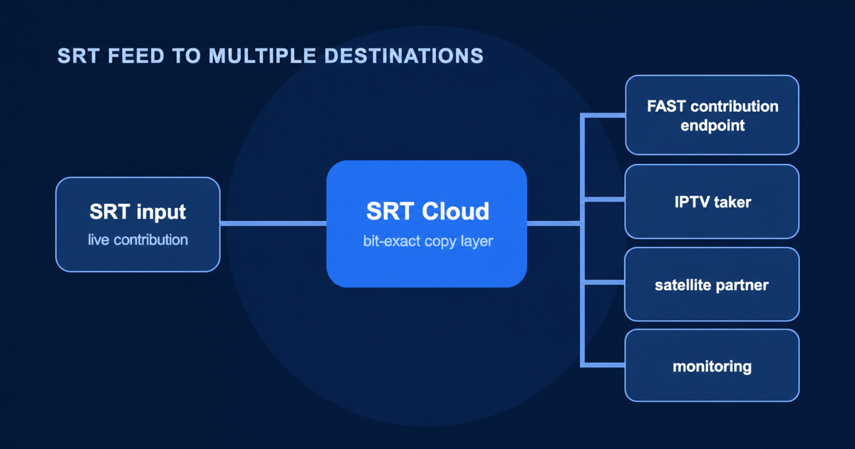One live SRT contribution input branching to four downstream distribution takers